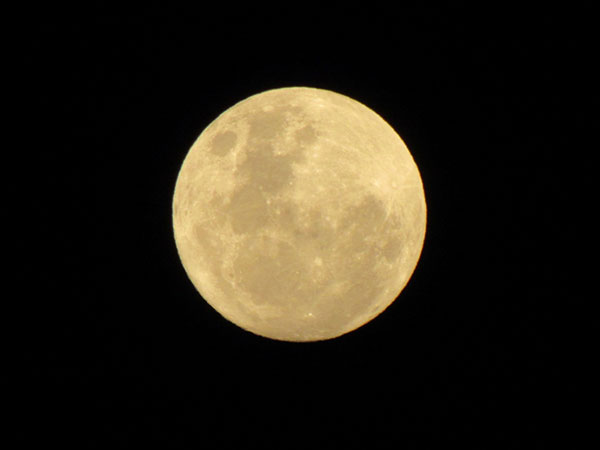 幻想的に煌めく「ムーンロード」が現れる満月の夜を熱海で体験！